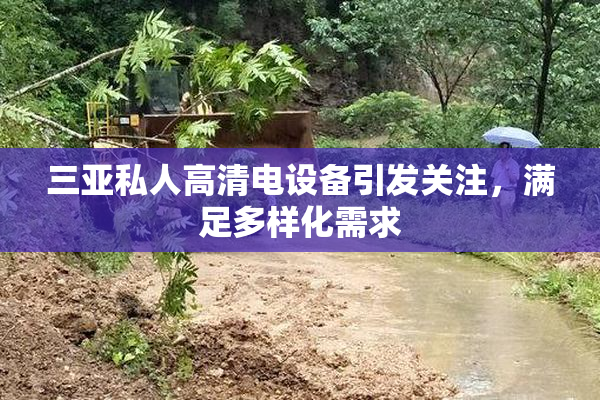 三亚私人高清电设备引发关注，满足多样化需求