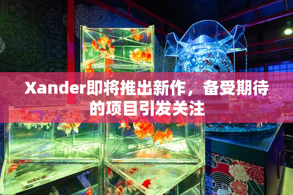 Xander即将推出新作，备受期待的项目引发关注