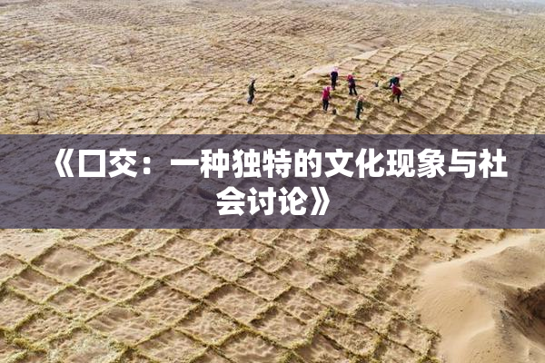 《囗交：一种独特的文化现象与社会讨论》