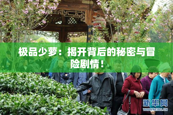 极品少萝：揭开背后的秘密与冒险剧情！