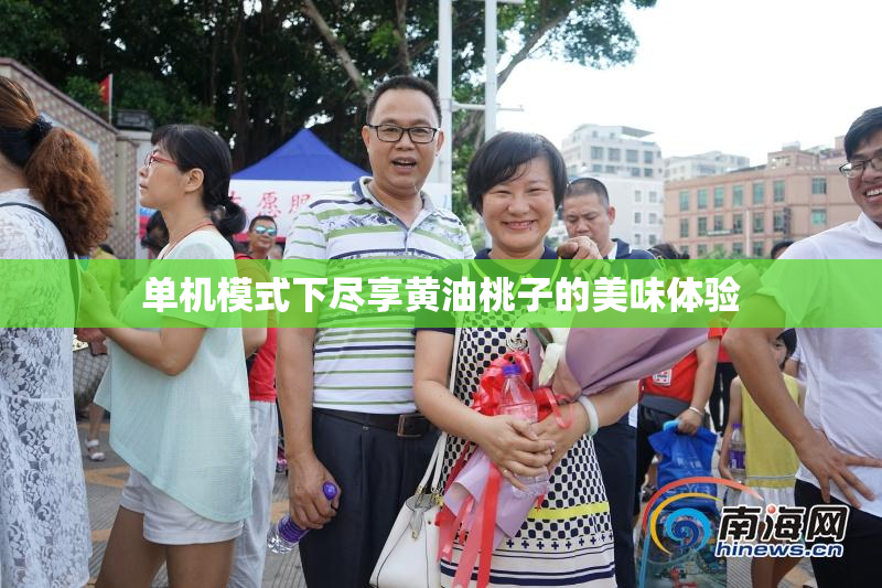 单机模式下尽享黄油桃子的美味体验