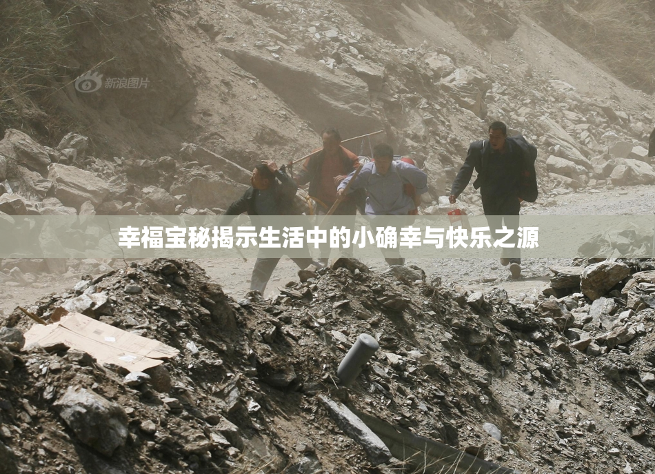 幸福宝秘揭示生活中的小确幸与快乐之源