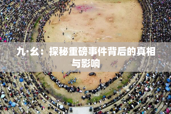 九·幺：探秘重磅事件背后的真相与影响