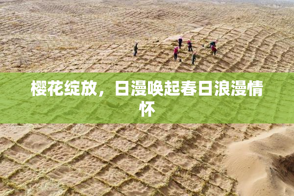 樱花绽放，日漫唤起春日浪漫情怀