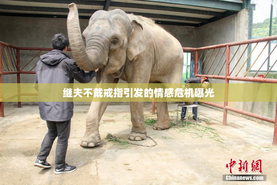 继夫不戴戒指引发的情感危机曝光