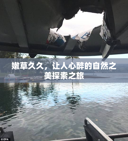 嫩草久久，让人心醉的自然之美探索之旅
