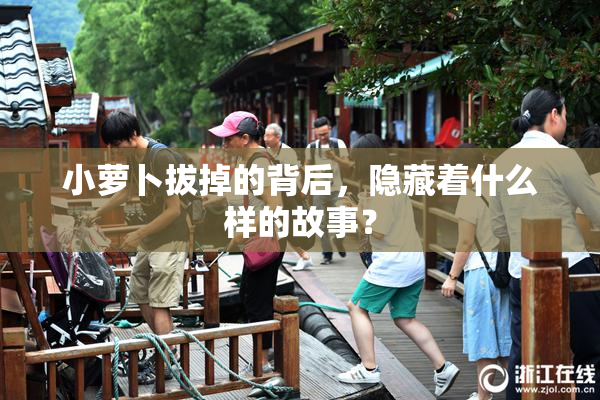 小萝卜拔掉的背后，隐藏着什么样的故事？