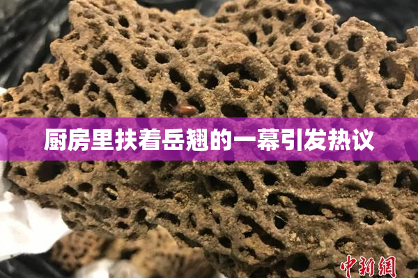 厨房里扶着岳翘的一幕引发热议