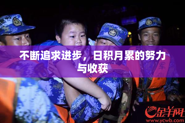 不断追求进步，日积月累的努力与收获