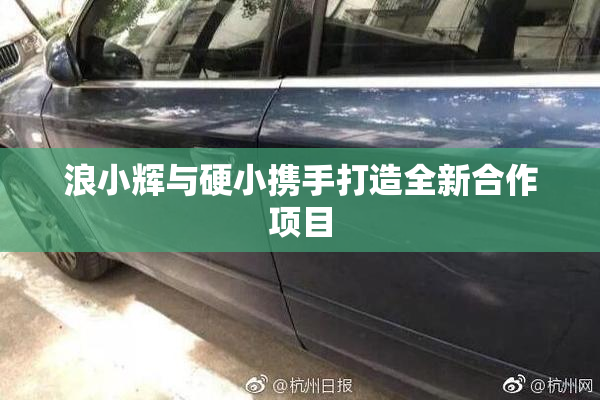 浪小辉与硬小携手打造全新合作项目