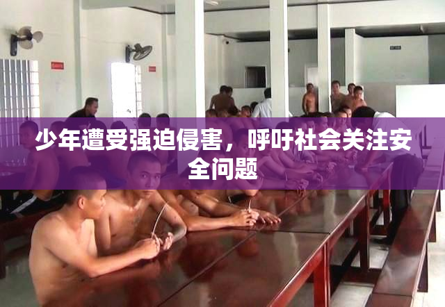 少年遭受强迫侵害，呼吁社会关注安全问题