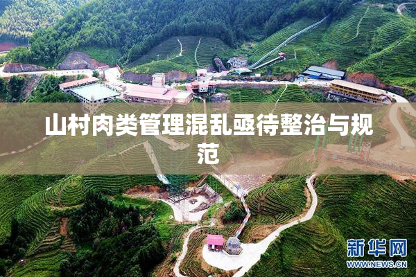 山村肉类管理混乱亟待整治与规范