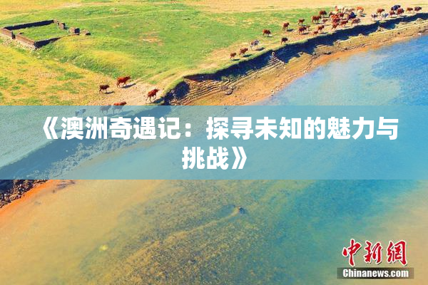 《澳洲奇遇记：探寻未知的魅力与挑战》