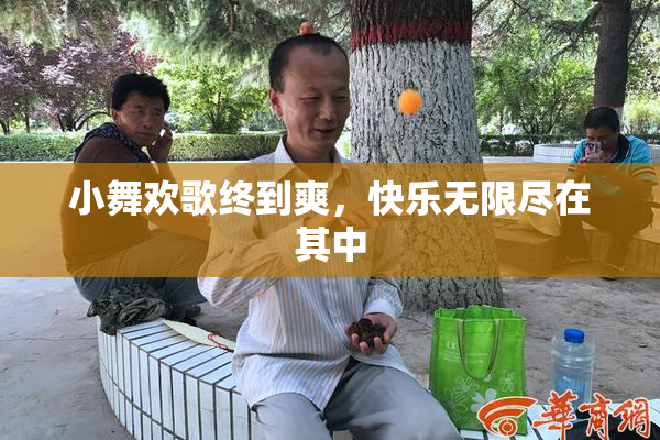 小舞欢歌终到爽，快乐无限尽在其中