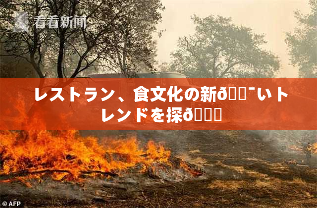 レストラン、食文化の新🔯いトレンドを探🌃