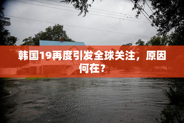韩国19再度引发全球关注，原因何在？