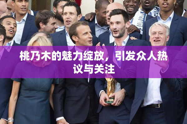桃乃木的魅力绽放，引发众人热议与关注