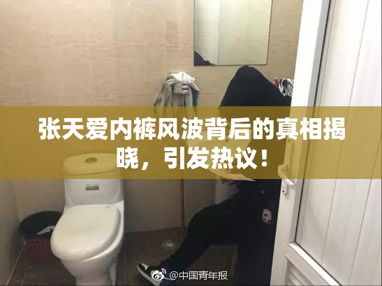 张天爱内裤风波背后的真相揭晓，引发热议！
