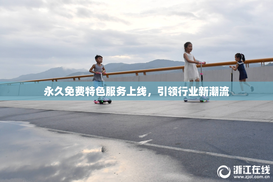 永久免费特色服务上线，引领行业新潮流