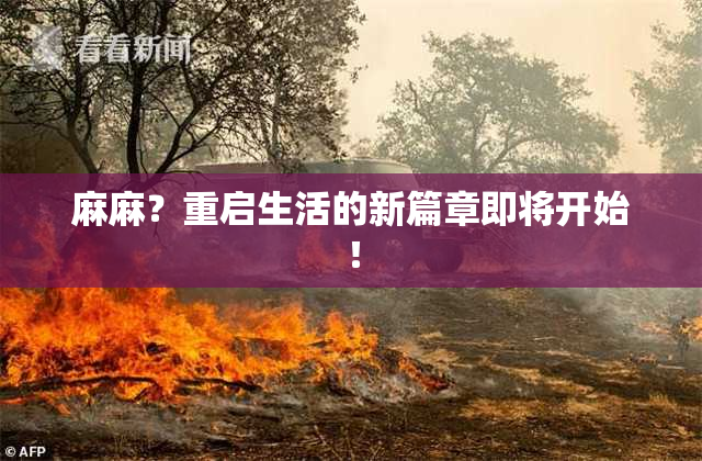 麻麻？重启生活的新篇章即将开始！