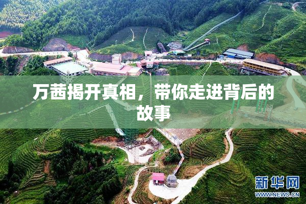 万茜揭开真相，带你走进背后的故事