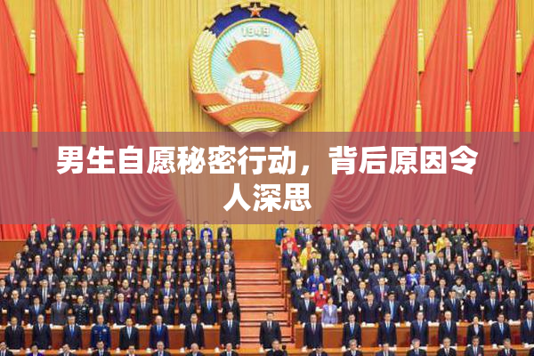 男生自愿秘密行动，背后原因令人深思