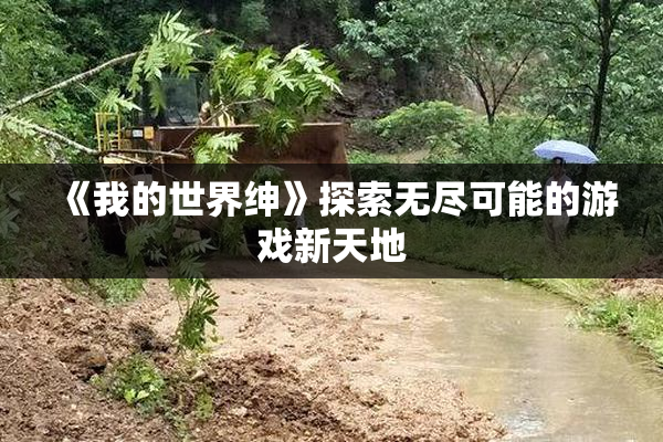 《我的世界绅》探索无尽可能的游戏新天地