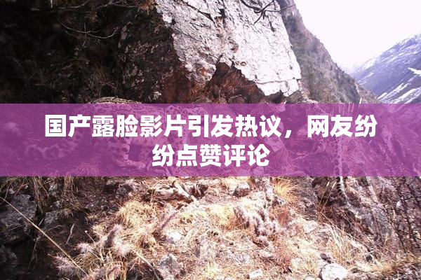 国产露脸影片引发热议，网友纷纷点赞评论