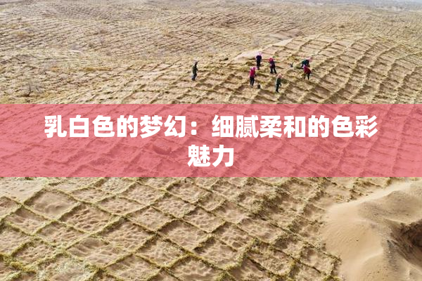 乳白色的梦幻：细腻柔和的色彩魅力