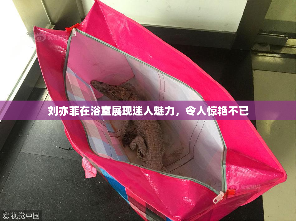刘亦菲在浴室展现迷人魅力，令人惊艳不已