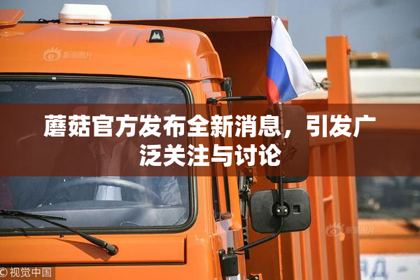 蘑菇官方发布全新消息，引发广泛关注与讨论