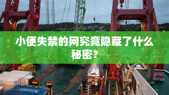 小便失禁的网究竟隐藏了什么秘密？