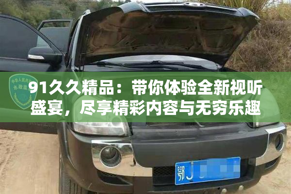 91久久精品：带你体验全新视听盛宴，尽享精彩内容与无穷乐趣！