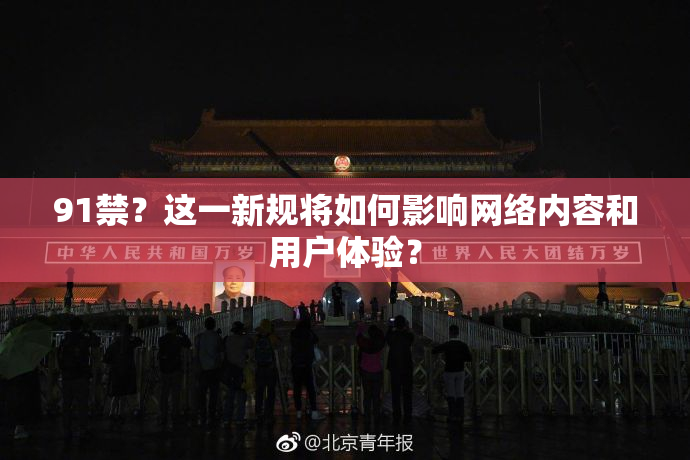 91禁？这一新规将如何影响网络内容和用户体验？