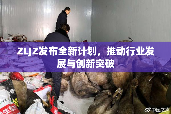 ZLJZ发布全新计划，推动行业发展与创新突破