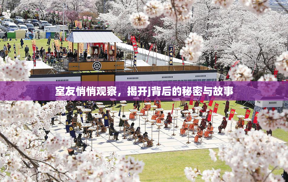 室友悄悄观察，揭开j背后的秘密与故事