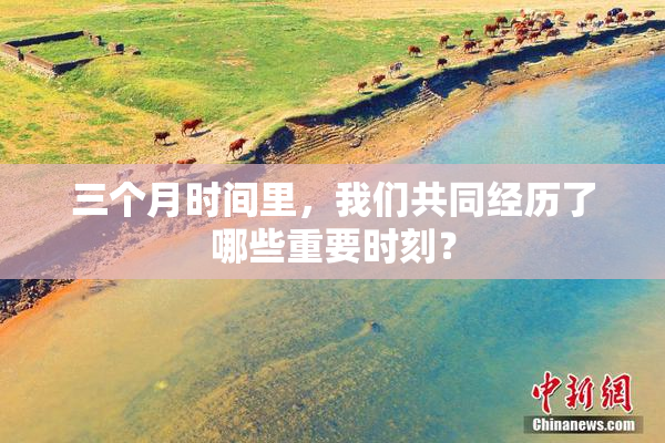 三个月时间里，我们共同经历了哪些重要时刻？