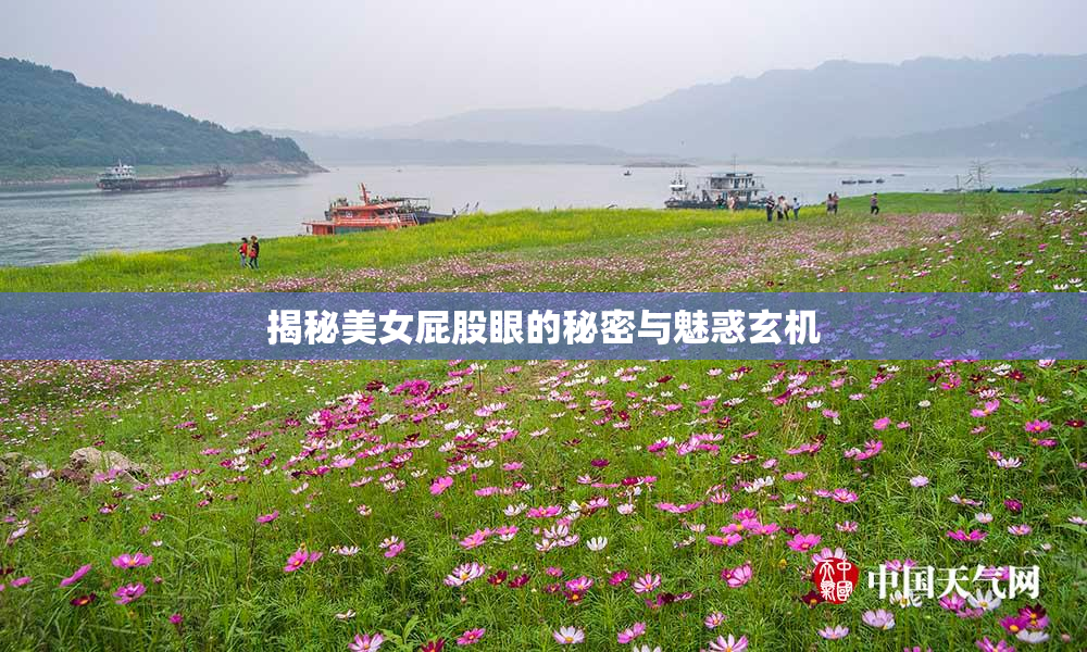 揭秘美女屁股眼的秘密与魅惑玄机