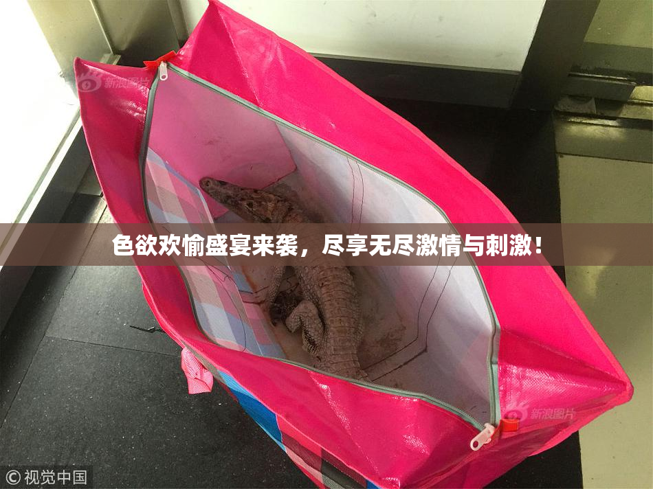 色欲欢愉盛宴来袭，尽享无尽激情与刺激！