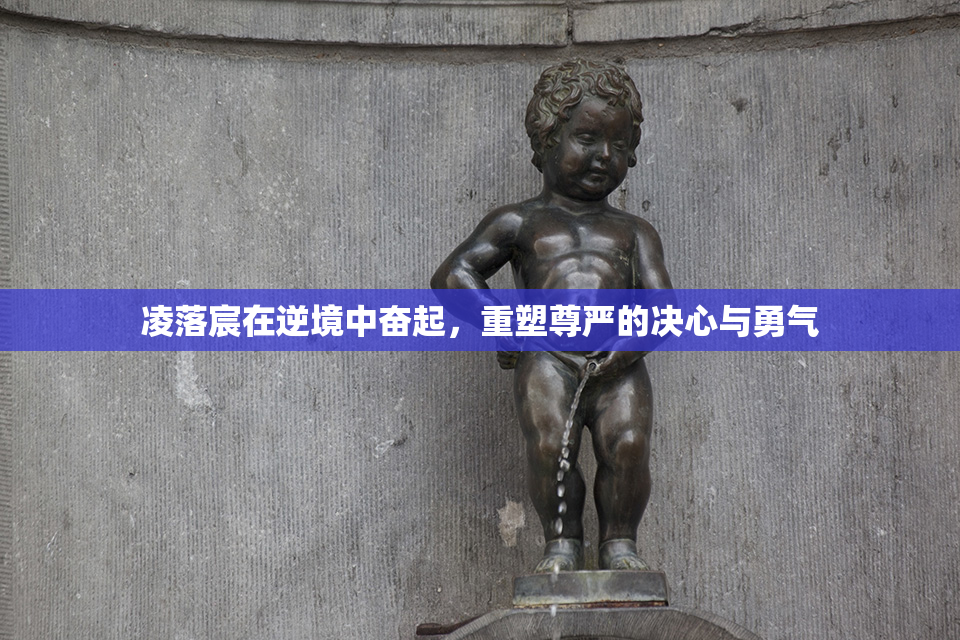 凌落宸在逆境中奋起，重塑尊严的决心与勇气