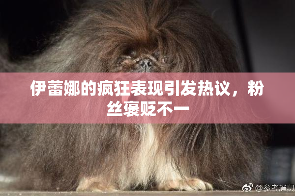 伊蕾娜的疯狂表现引发热议，粉丝褒贬不一