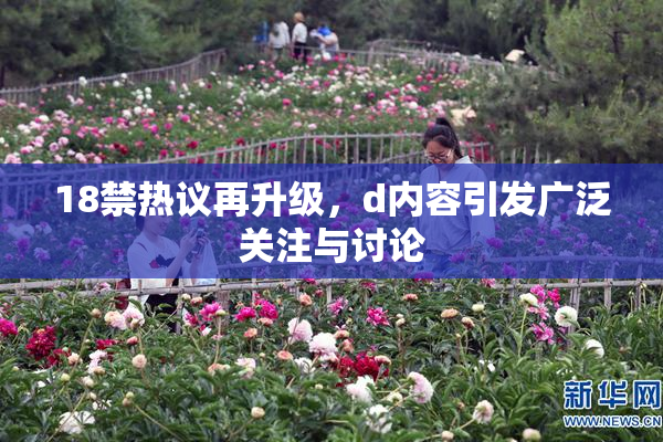 18禁热议再升级，d内容引发广泛关注与讨论