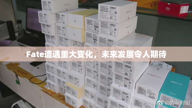 Fate遭遇重大变化，未来发展令人期待