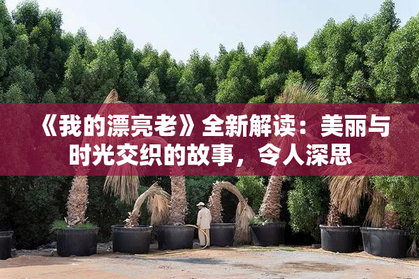 《我的漂亮老》全新解读：美丽与时光交织的故事，令人深思