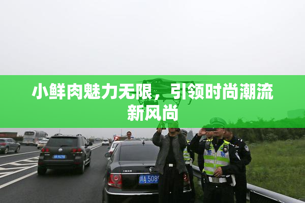 小鲜肉魅力无限，引领时尚潮流新风尚