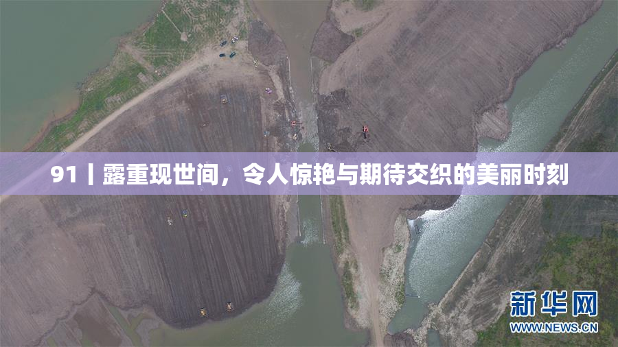 91丨露重现世间，令人惊艳与期待交织的美丽时刻