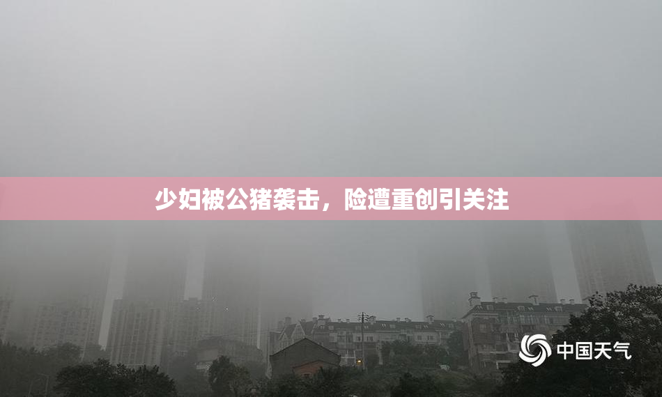 少妇被公猪袭击，险遭重创引关注