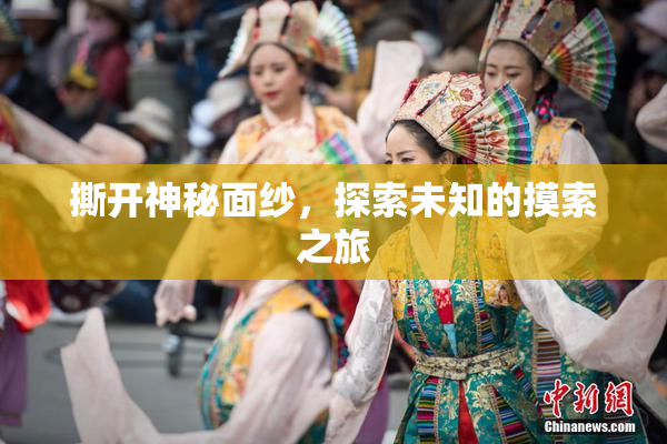 撕开神秘面纱，探索未知的摸索之旅