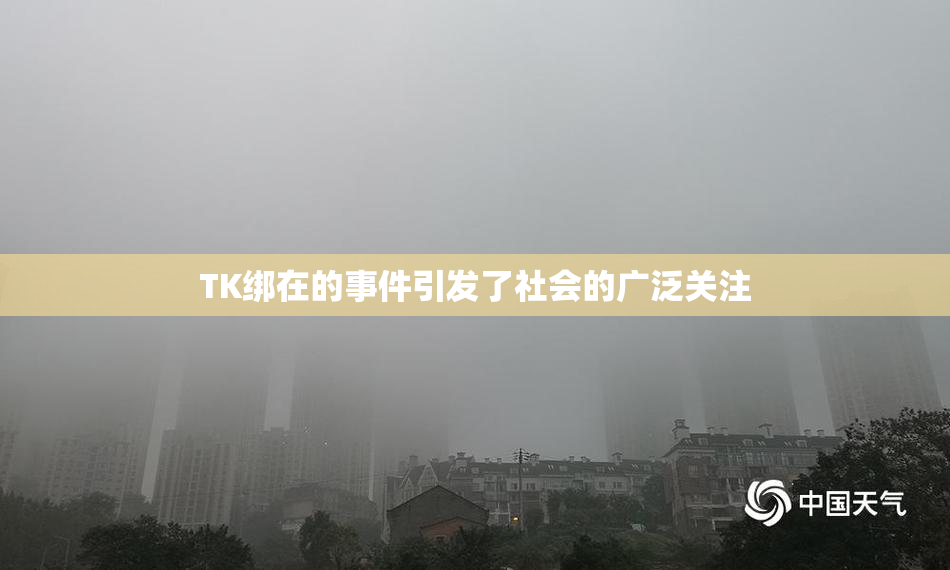 TK绑在的事件引发了社会的广泛关注
