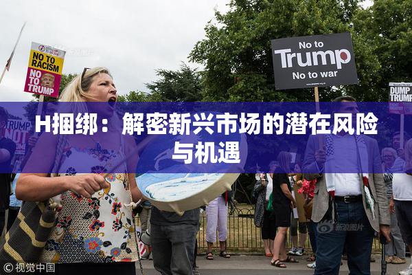 H捆绑：解密新兴市场的潜在风险与机遇
